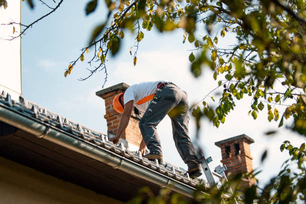 Best Flat Roof Repair Services  in Watertown, NY