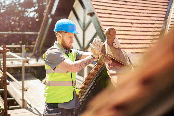 Best Roof Gutter Cleaning  in Watertown, NY